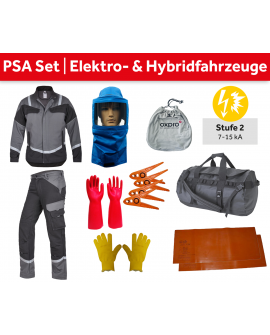 ELEKTRO- UND HYBRIDFAHRZEUGE I Elektro PSA Set (Stufe 2)