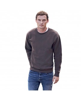 Sweatshirt Fruit of the Loom Premium Set-in Sweat F324N