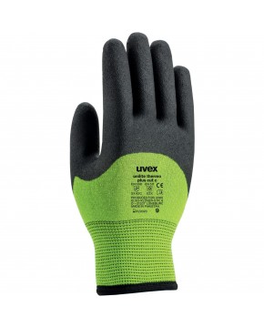 Schnittschutzhandschuh Uvex unilite thermo plus cut c